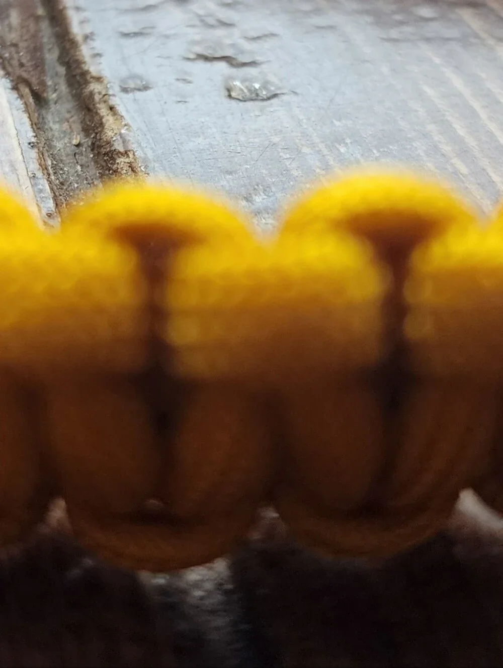 Handmade Paracord Dog Slip Collar in Mustard Yellow